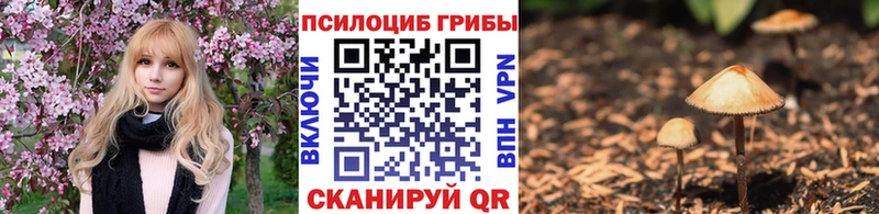 Галлюциногенные грибы Magic Shrooms  Курчалой 