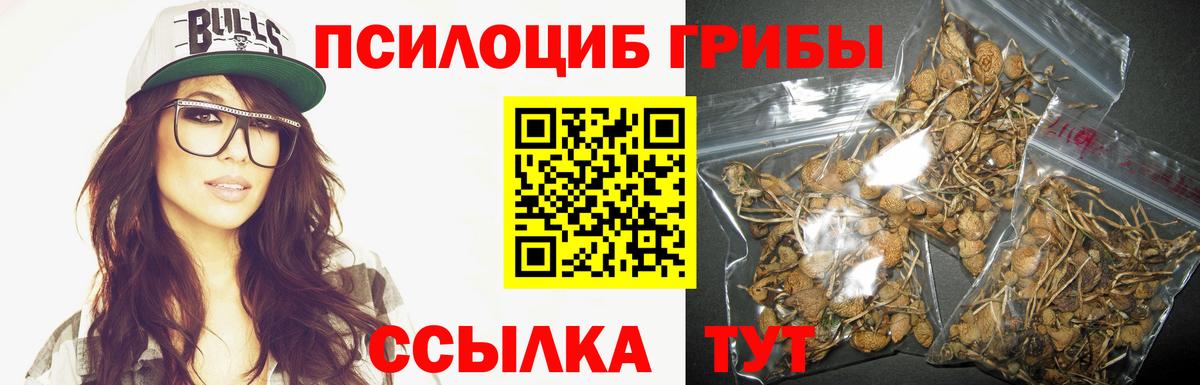 Галлюциногенные грибы прущие грибы  Вход с VPN  Курчалой 