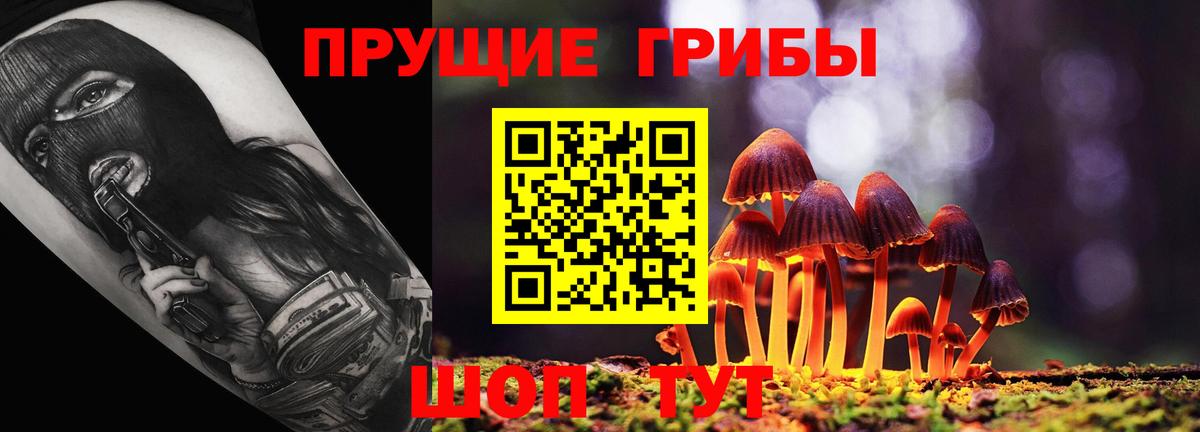 Псилоцибиновые грибы MAGIC MUSHROOMS  Курчалой 