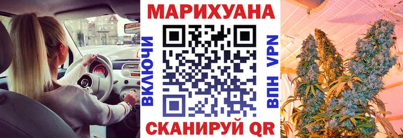 цена   Курчалой  МАРИХУАНА планчик 