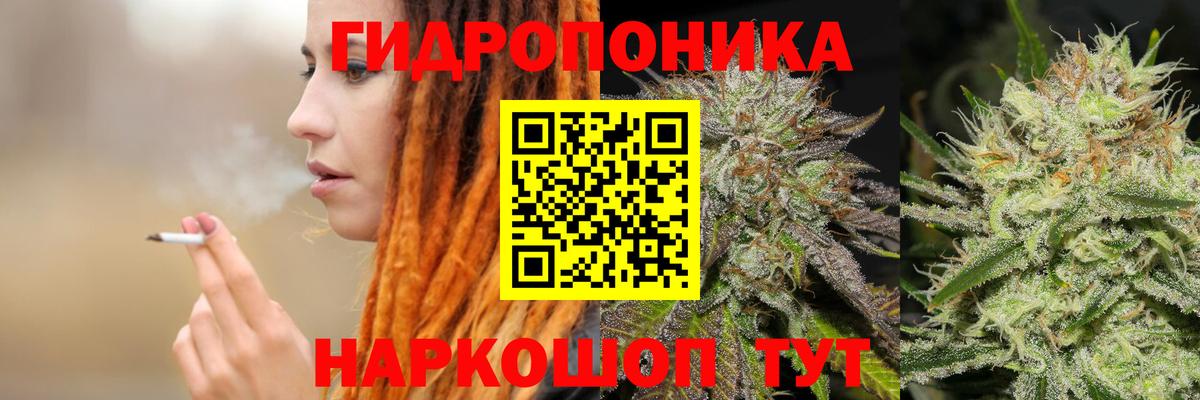 Бошки марихуана White Widow  Вход с VPN  Бошки Шишки ГИДРОПОН  Курчалой  Конопля индика 